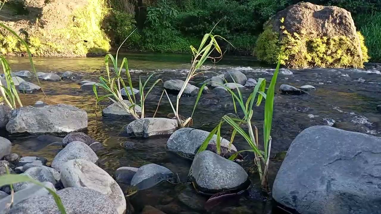 Soft Stream at Night – Healing Sound for Inner Peace