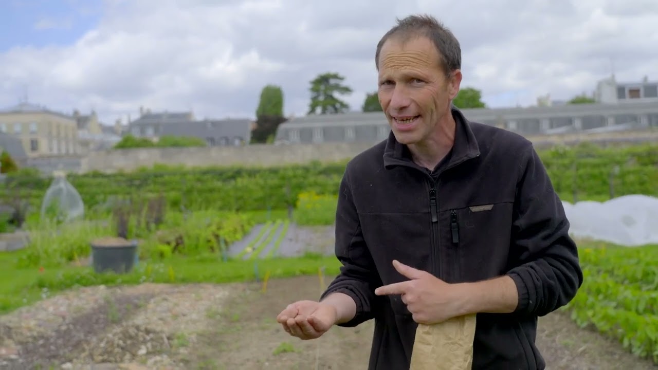 Les Semis | Les tutos du Potager du Roi