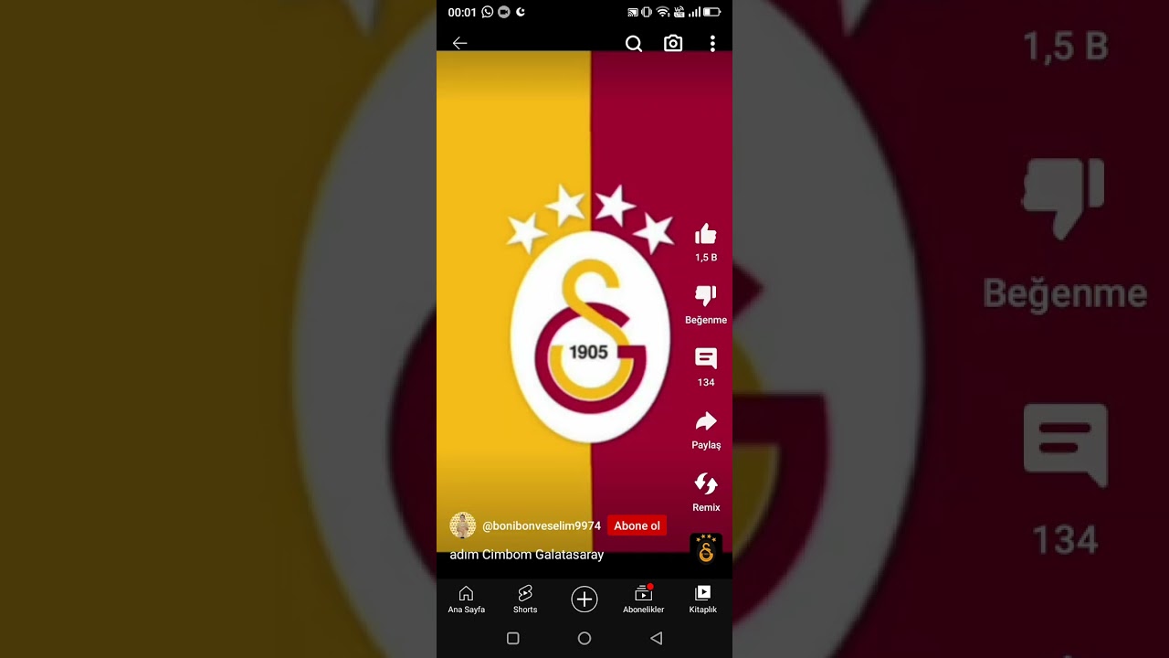 GS kral ( yanlış anlamayın hava ama&ccedil;lı değildir)