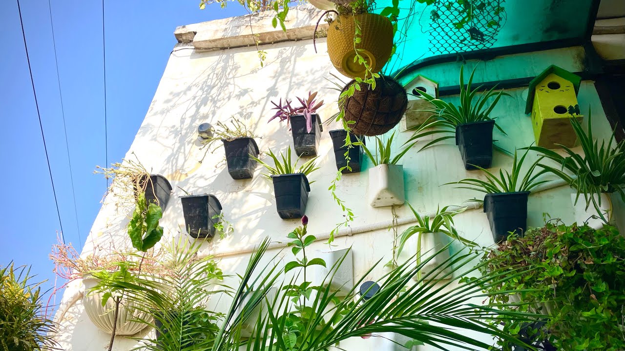 balcony wall decoration ideas #viral #home #gardeningplants #plants #love 