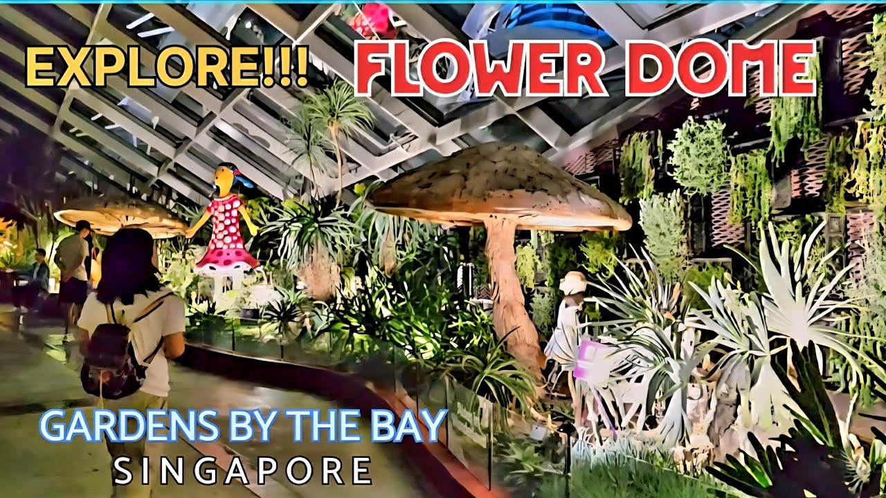FLOWER DOME - GARDENS BY THE BAY, SINGAPORE || Big Brothet Journey #travel #nature #garden #enjoy
