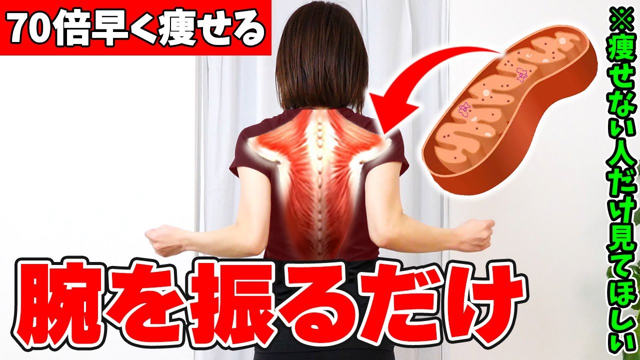 【衝撃】なぜか痩せない人はこれやって! 腕を振って70倍早く痩せる！脂肪を食べるミトコンドリアを活性化させる上半身の徹底燃焼トレーニング🔥 二の腕痩せ  | お腹痩せ | 背中痩せ