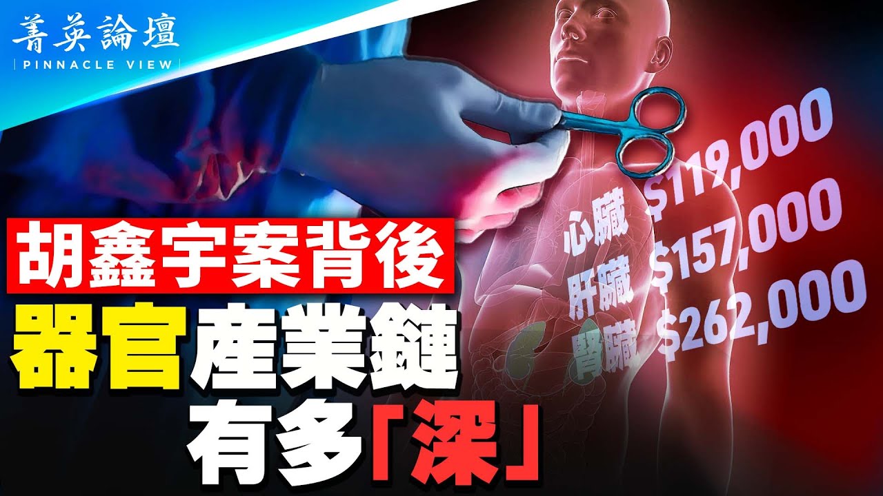 中共高官器官特供基地？胡鑫宇案為何全民關注，致遠中學背后的器官產業鏈有多深；大紀元2006年率先揭開中共活摘器官黑幕，郭君披露內情。【 #菁英論壇 】#新唐人電視台 2/4/2023