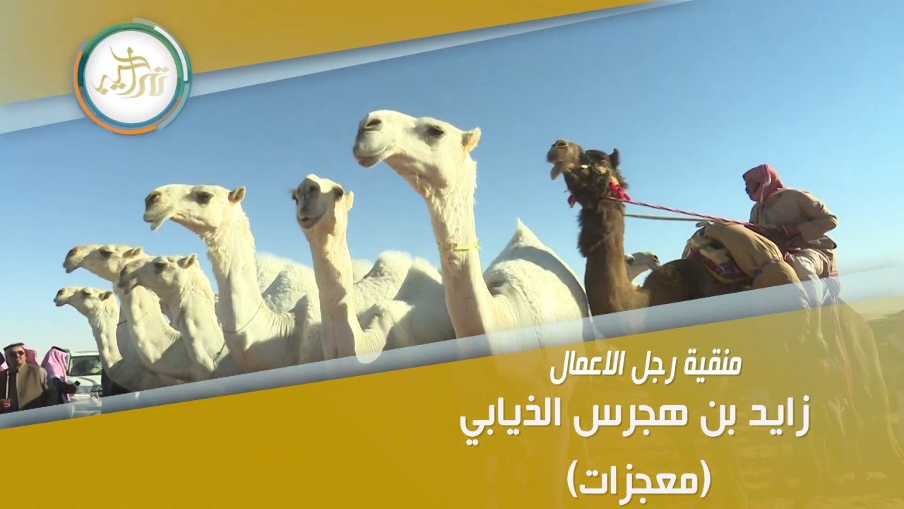 منقية رجل الاعمال / زايد بن هجرس الذيابي ( معجزات )