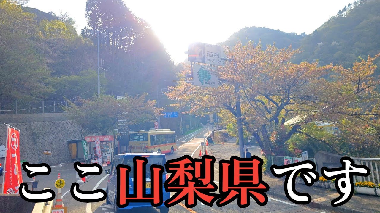 【1日2本だけ!!】神奈中バスが山梨県を走っています！！！
