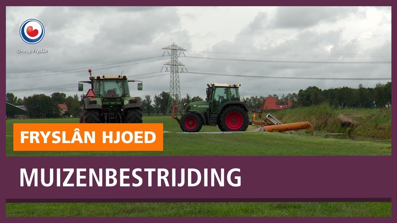 REPO: Proef in Vegelinsoord om veldmuizen te bestrijden