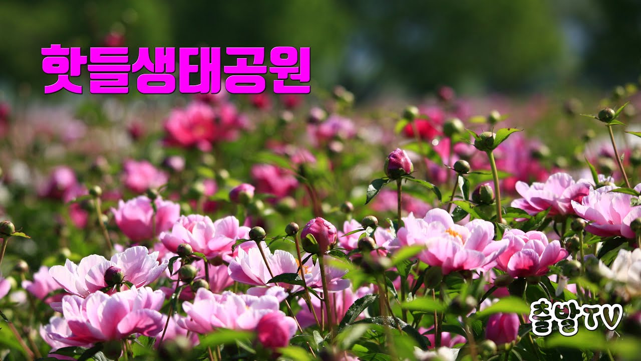 핫들생태공원