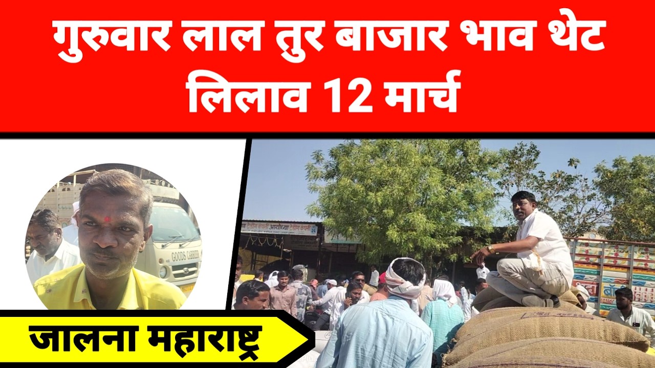 गुरुवार लाल तुर बाजार भाव थेट लिलाव 12 मार्च जालना महाराष्ट्र || लाल तुरीला काय मिळतो भाव