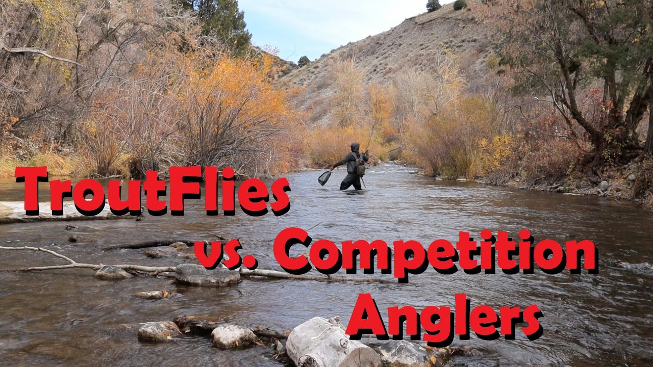 Average Fly Fisherman vs. Competition Anglers - How Good Are They?!?