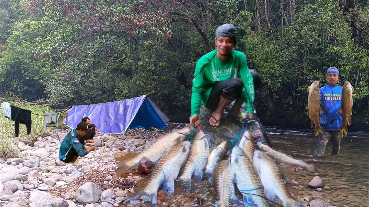 Tiga hari tiga malam..!! berburu ikan mahseer di sungai pedalaman hutan Kalimantan