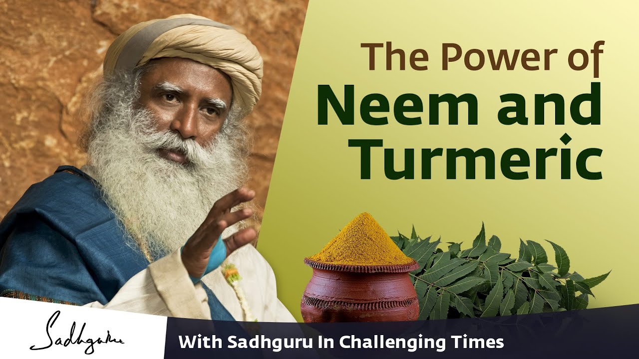 The Power of Neem and Turmeric