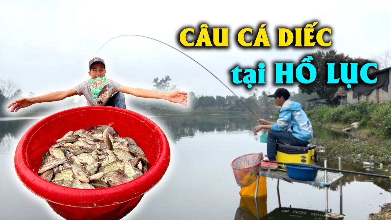 CÂU CÁ DIẾC TẠI HỒ LỤC - CHIA SẺ NHỊP PHAO CÂU DIẾC | VIETNAM FISHING TV