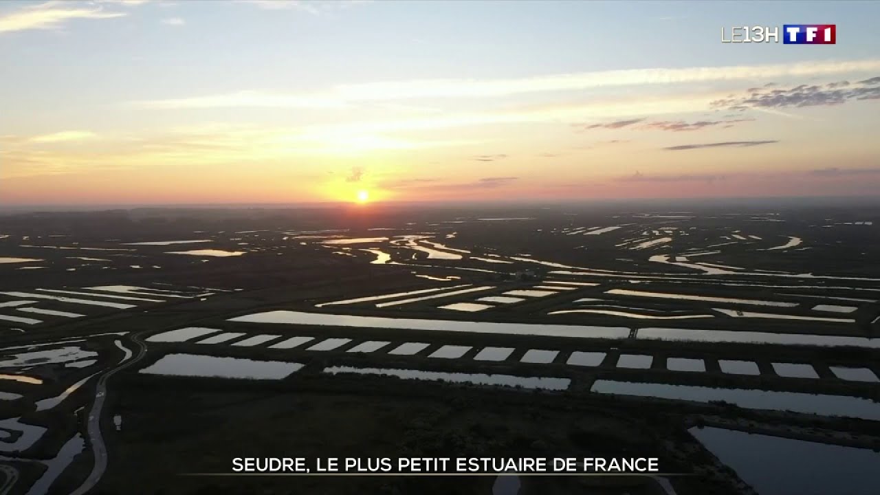 &Agrave; la d&eacute;couverte de la Seudre, le plus petit estuaire de France