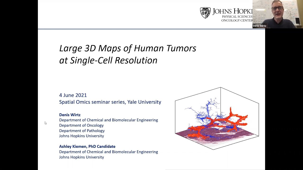 Large 3D Maps of Human Tumors at Single-Cell Resolution (Speakers: Denis Wirtz and Ashley Kiemen)