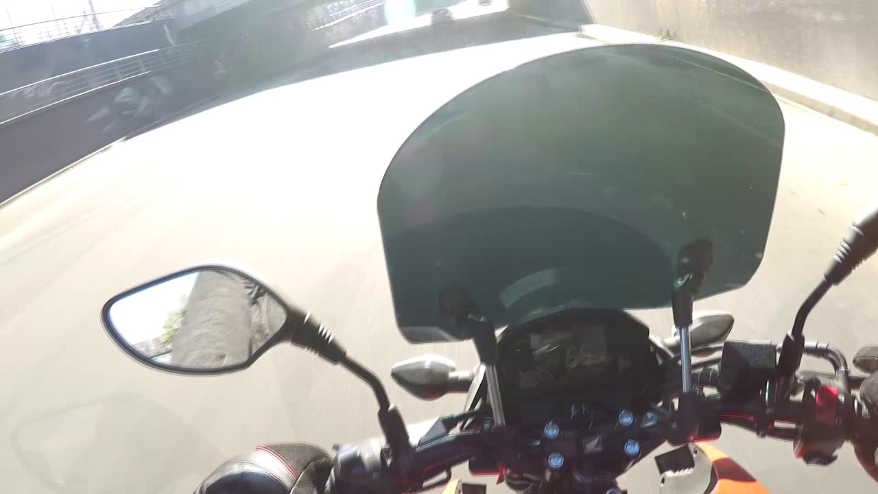 Una mañana genial para pasear!