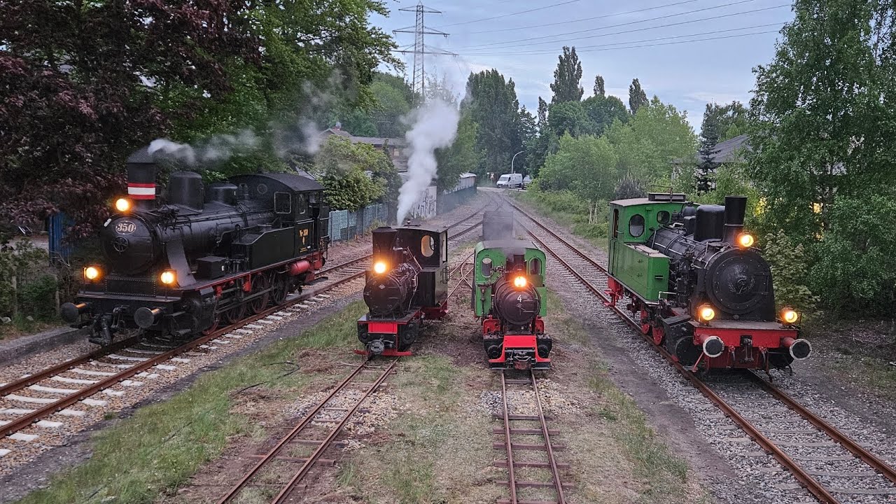 50 Jahre Arbeitsgemeinschaft Geesthachter Eisenbahn: die Feldbahn kommt!