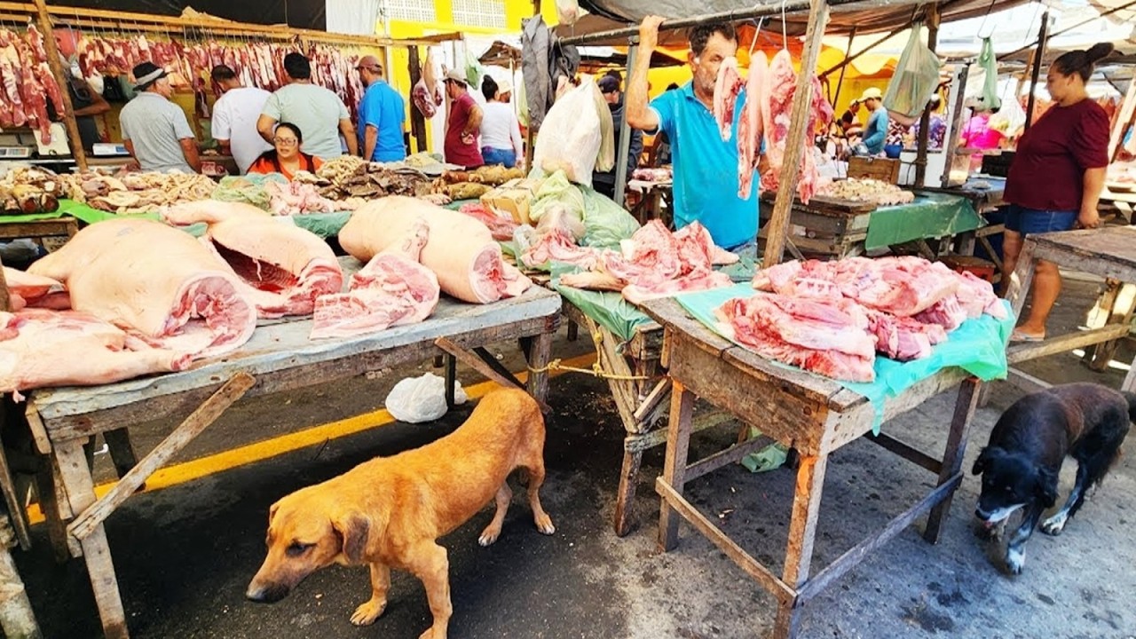 PEIXE DE 5 REAIS SÓ TEM NO NORDESTE BRASILEIRO.