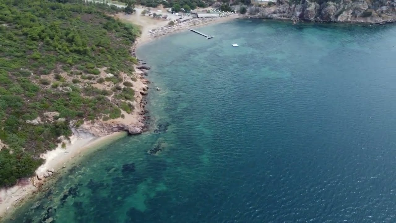 Artur Tilki - Güvercin koyu 4K