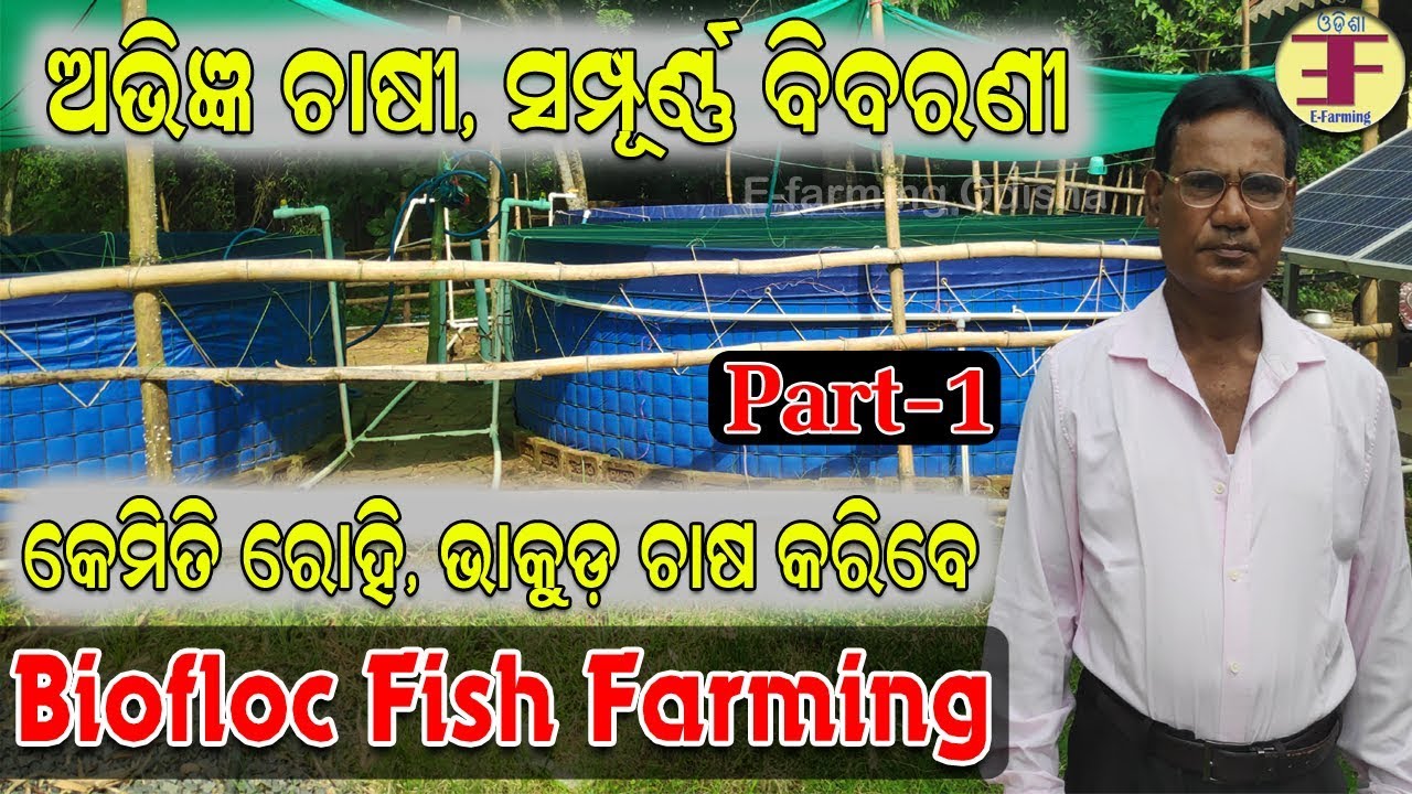 ଓଡ଼ିଶାରେ ବାୟଫ୍ଲୋକ ପଦ୍ଧତିରେ ମାଛ ଚାଷ(Odisha Biofloc Fish Farming).