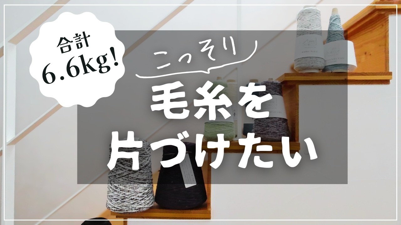 【閲覧注意!?】家族に内緒で買った毛糸たち❣編み物好きの毛糸の片づけ動画