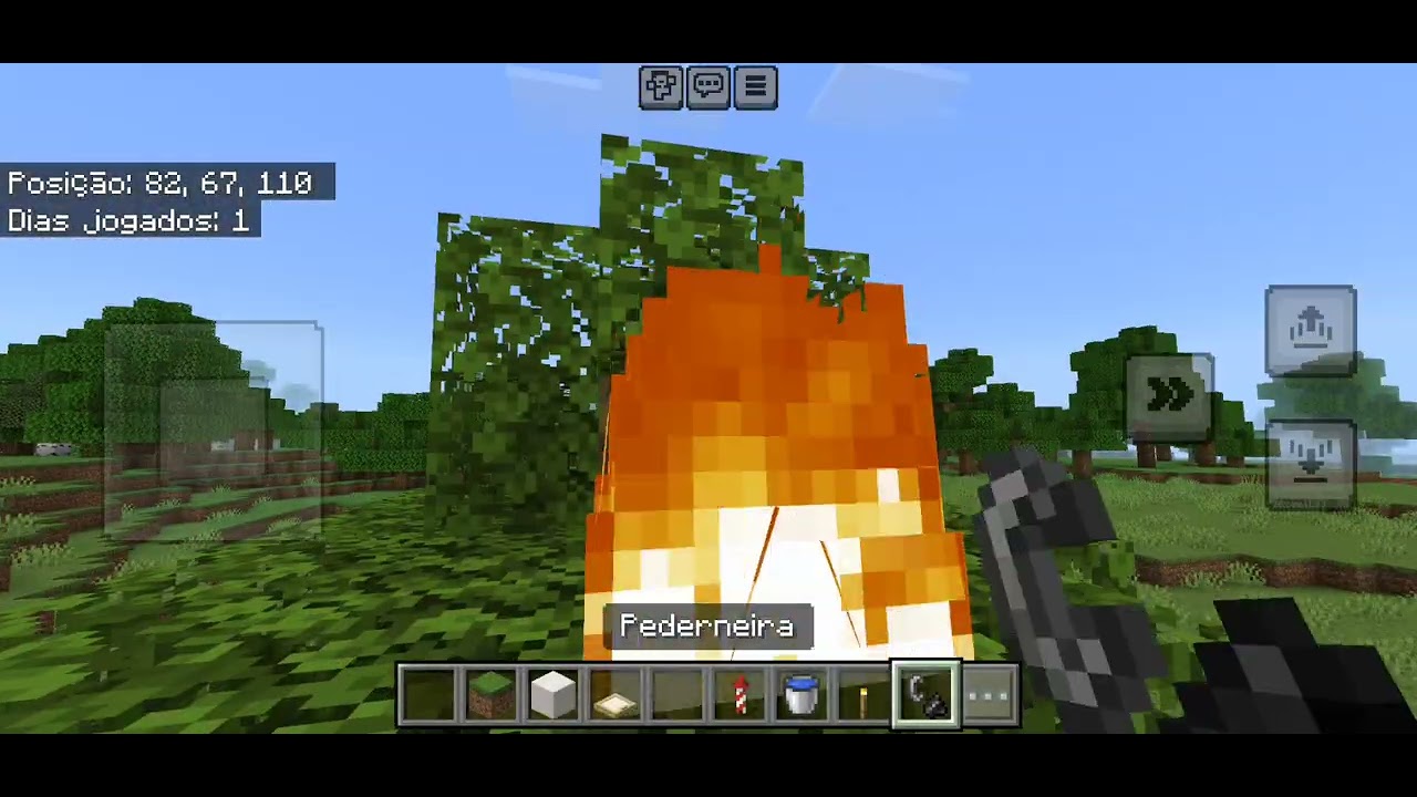 Jogando Minecraft