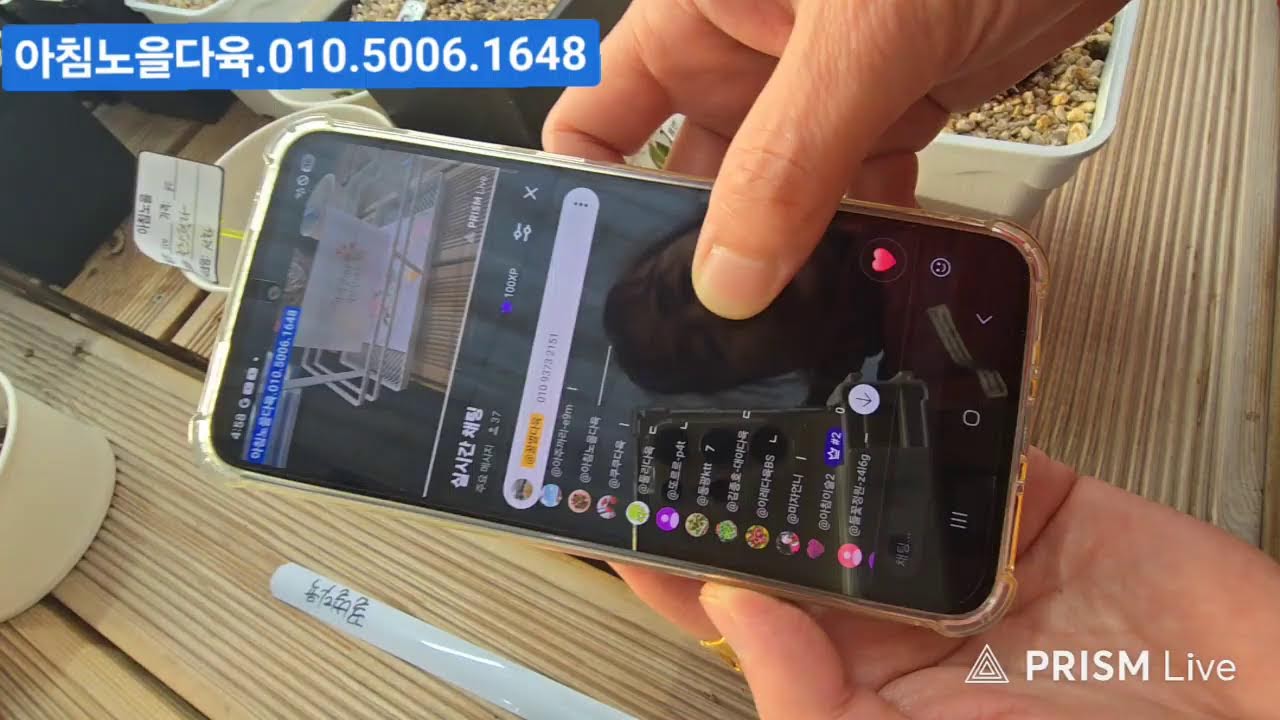 (2월19일아침노을다육)2부