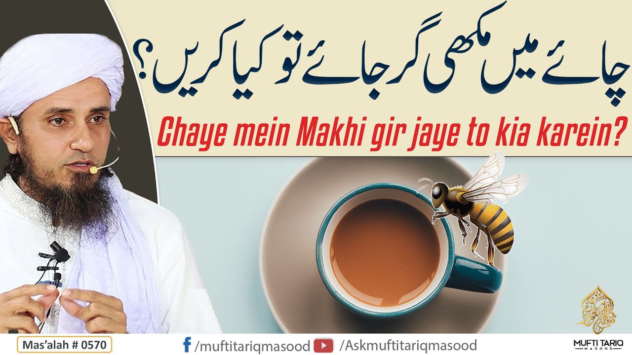 If Bee dips in Tea | چائے میں مکھی گر جائے تو کیا کریں؟ | Solve Your Problems|Ask Mufti Tariq Masood