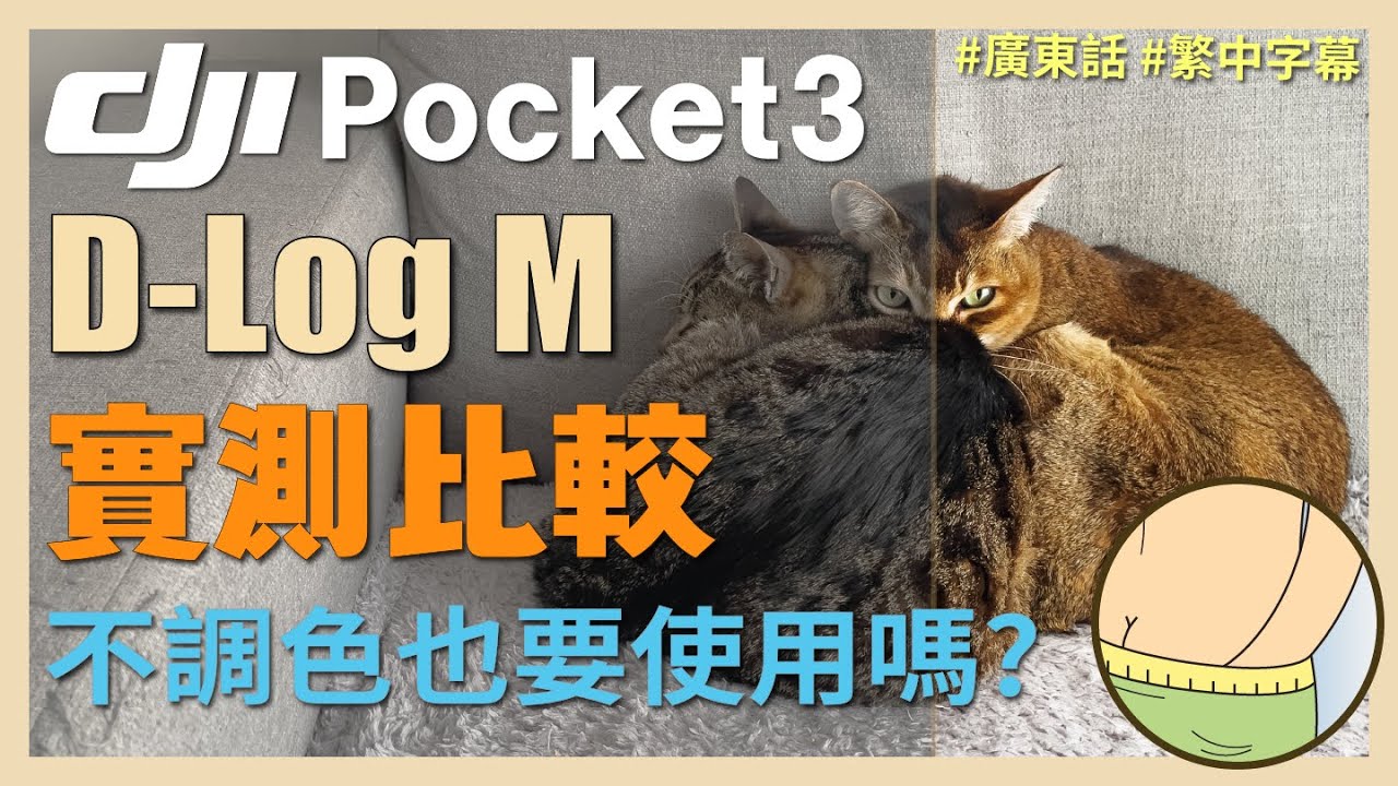 DJI Pocket 3 D-Log M 實測比較, 唔調色都要用？#djipocket3 #DLogM #DaVinviResolve #影片剪輯 #攝影教學 #廣東話 #繁中字幕