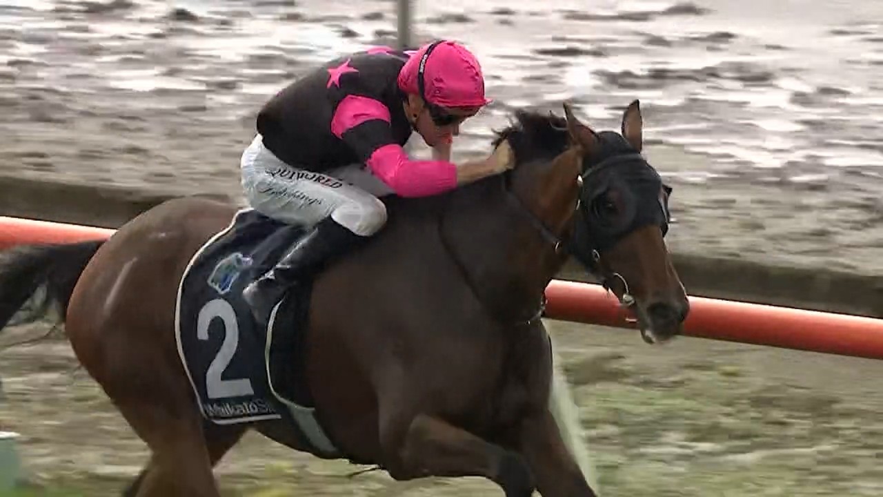 Listed Matamata Veterinary Services Kaimai Stakes - Diamond Jak