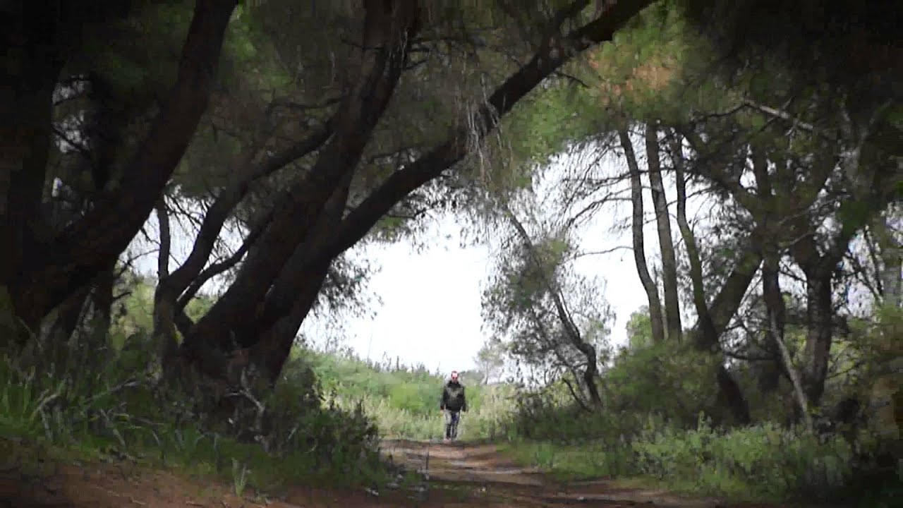 Λευτέρης Πανταζής - Το καΐκι