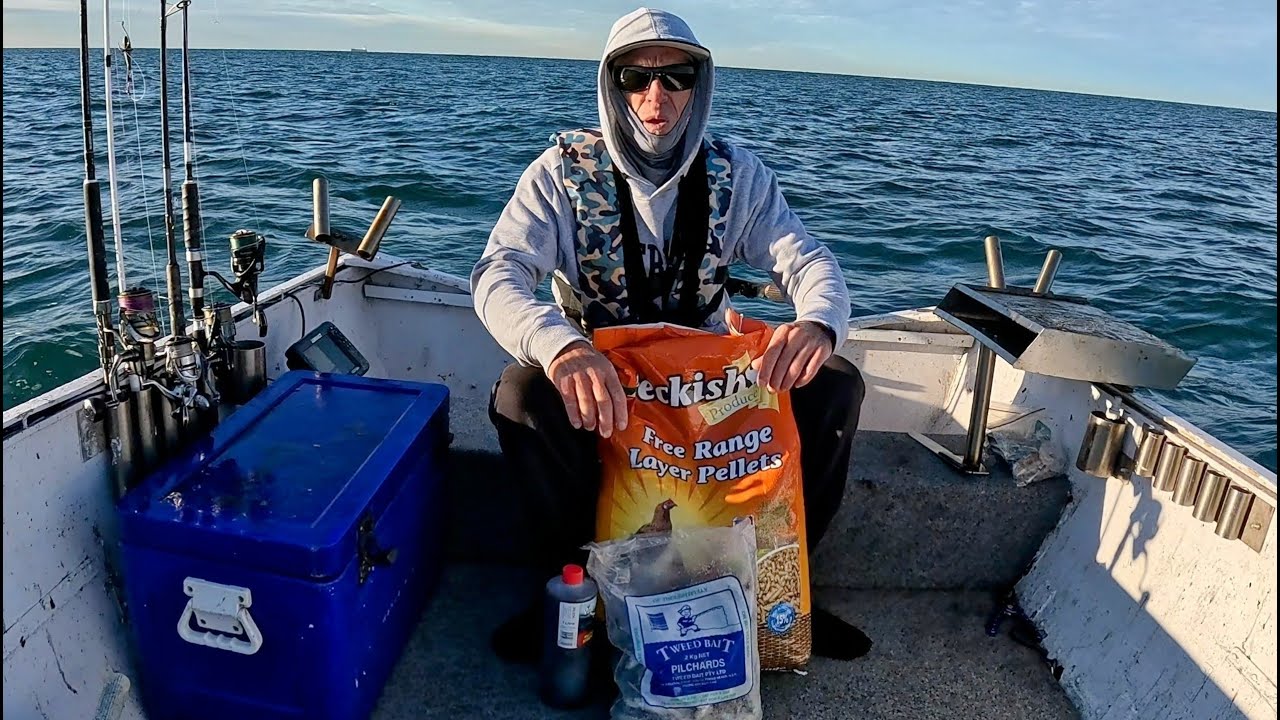 20kg of burley on a reef what happens?