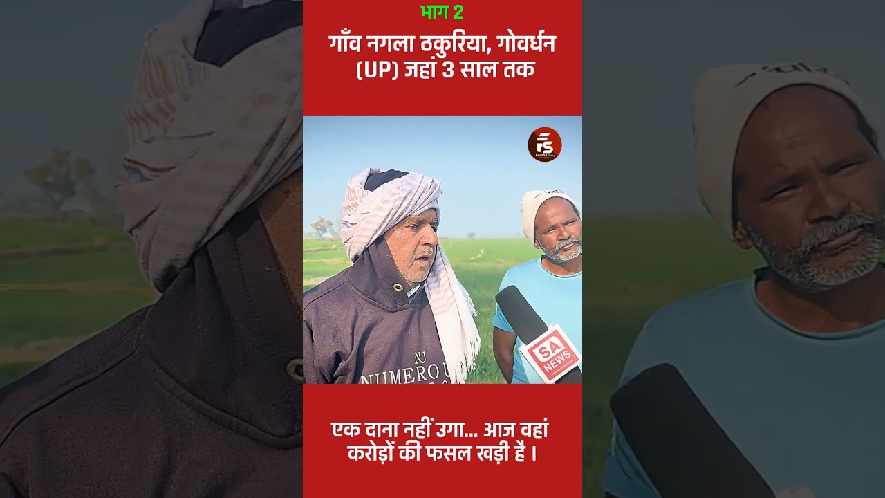 Village Nagla Thakuriya, Govardhan (UP) where not a single grain grew for three years... today it boasts a crop worth crores.