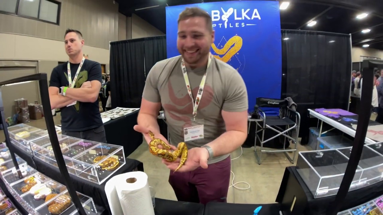 Arlington NARBC Reptile Show February 2020