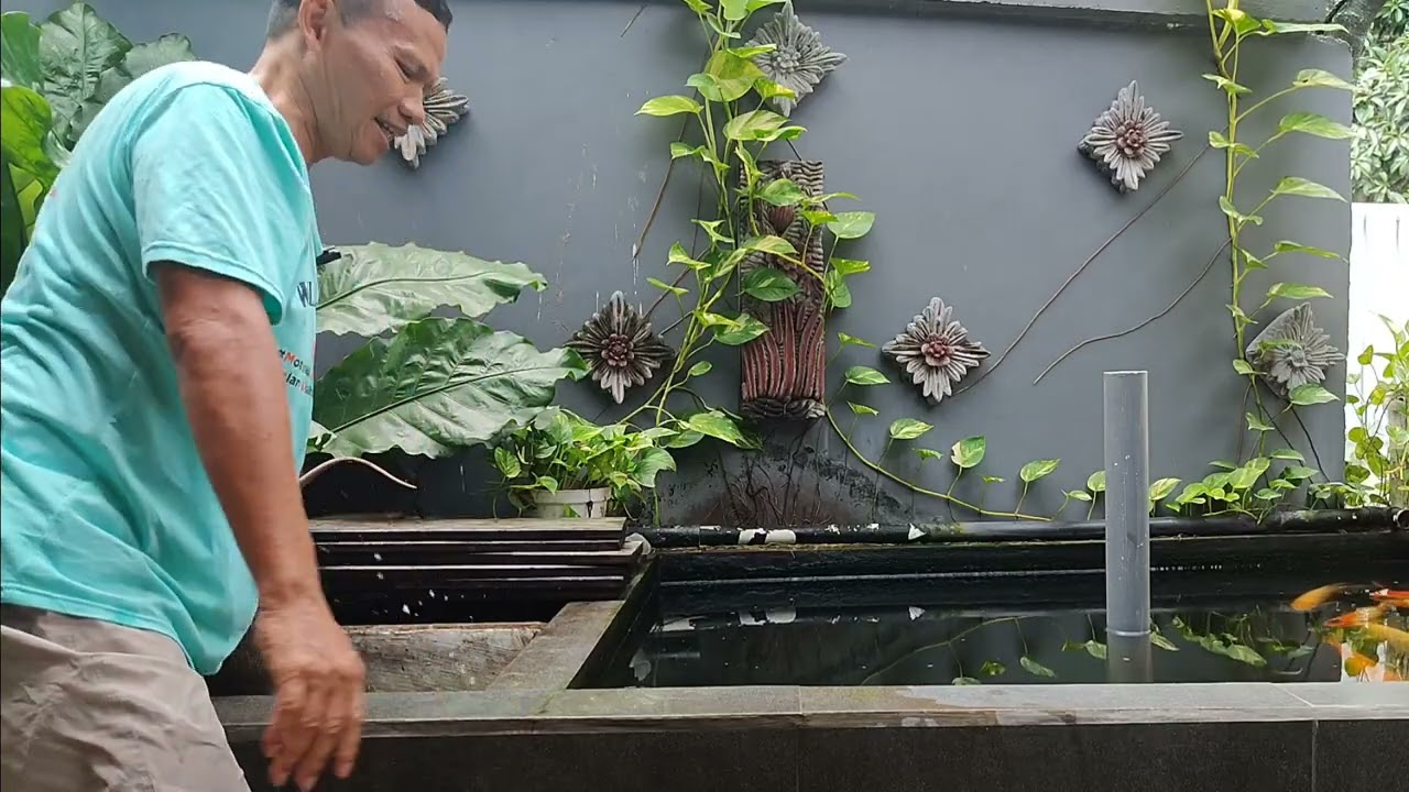 waktunya backwash chamber kolam minimalis ku