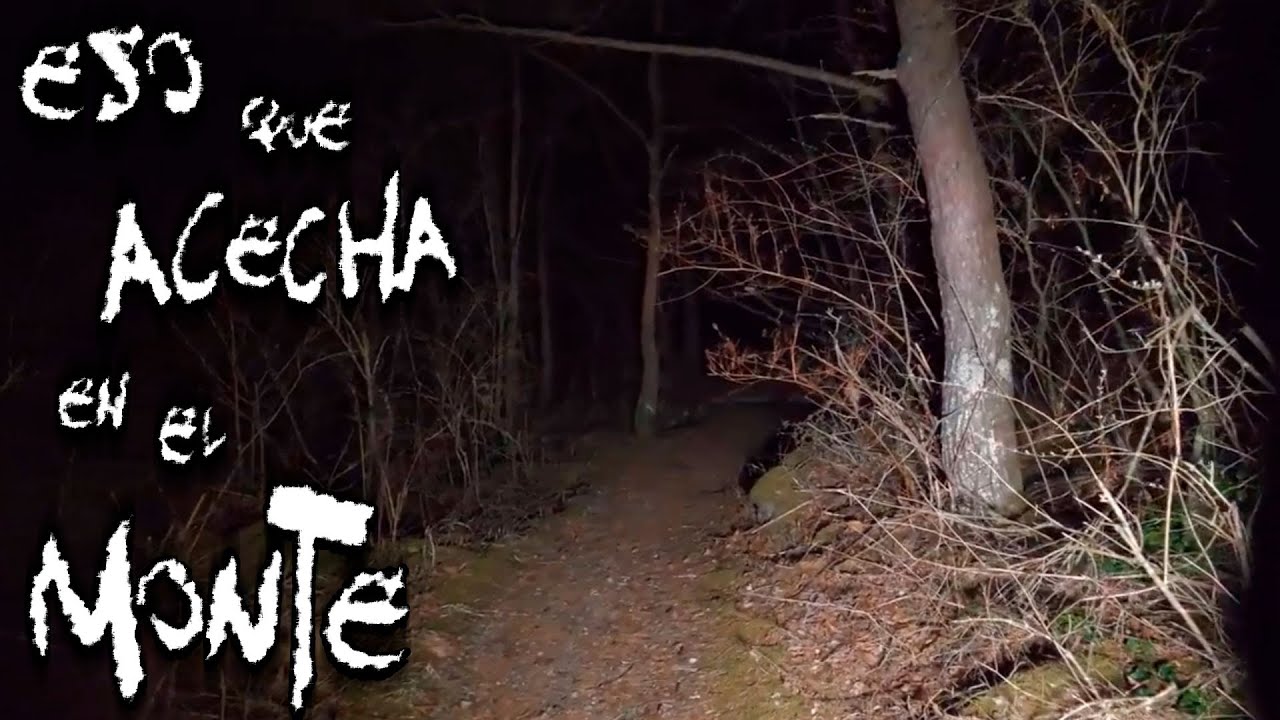 Relatos de Terror: Eso que acecha en el monte de Guerrero | Frecuencia Paranormal | FP