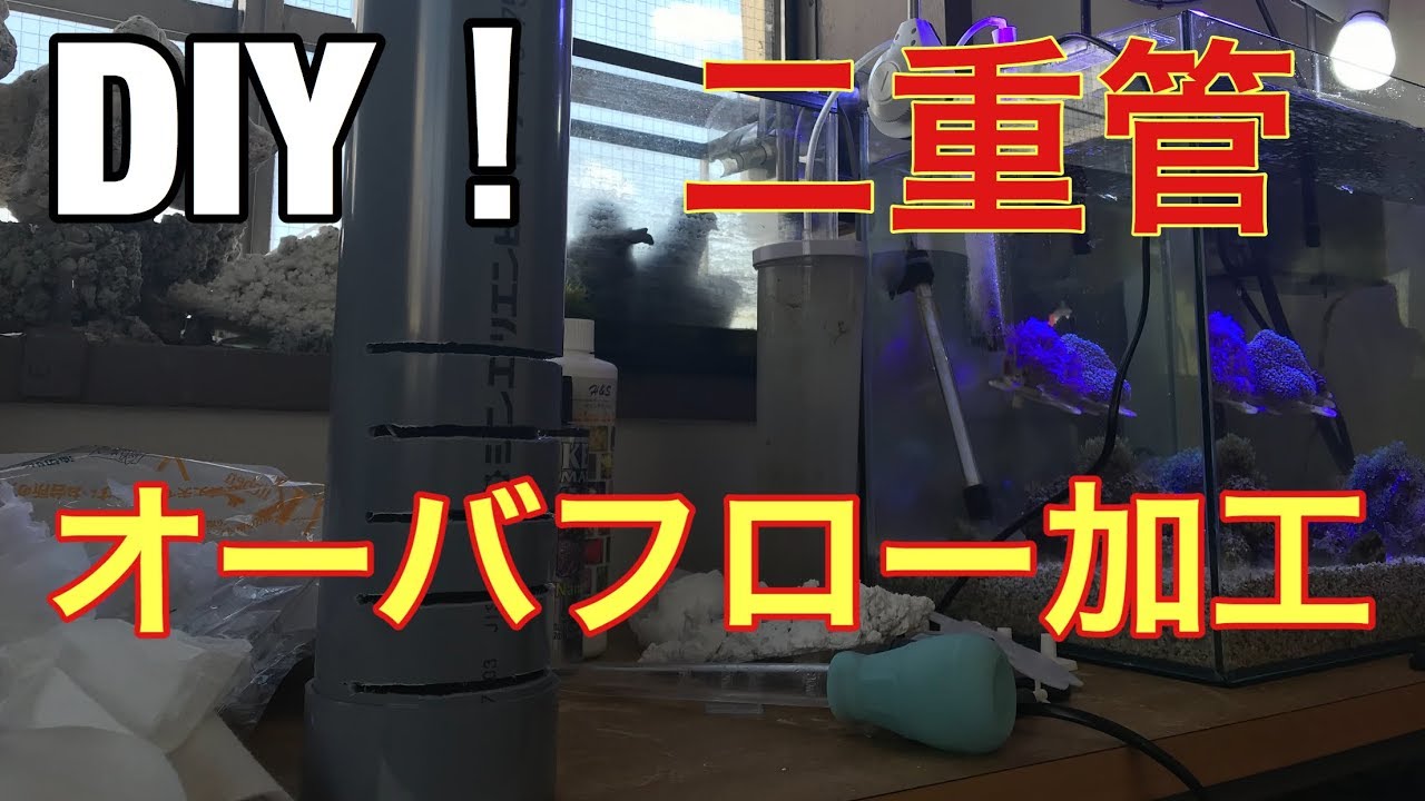 【海水魚水槽】DIY　二重管オーバーフロー加工する！！