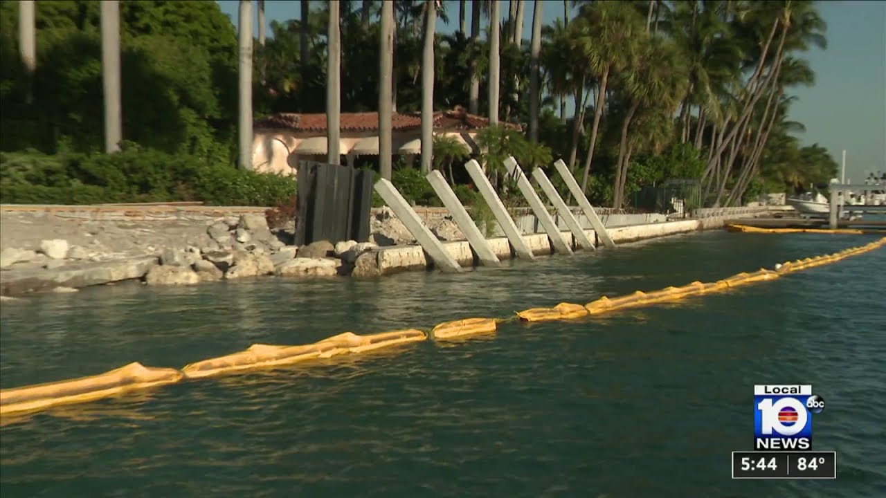 Sudden surprise coral rescue mission uncovered during Don&rsquo;t Trash Our Treasure report