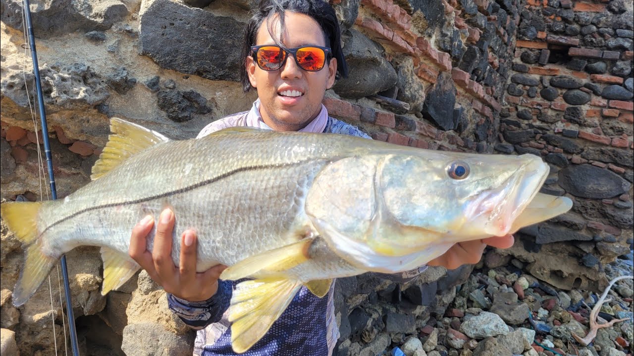 Pesca de ROBALO con señuelos blandos en el MAR del castillo de SALGAR