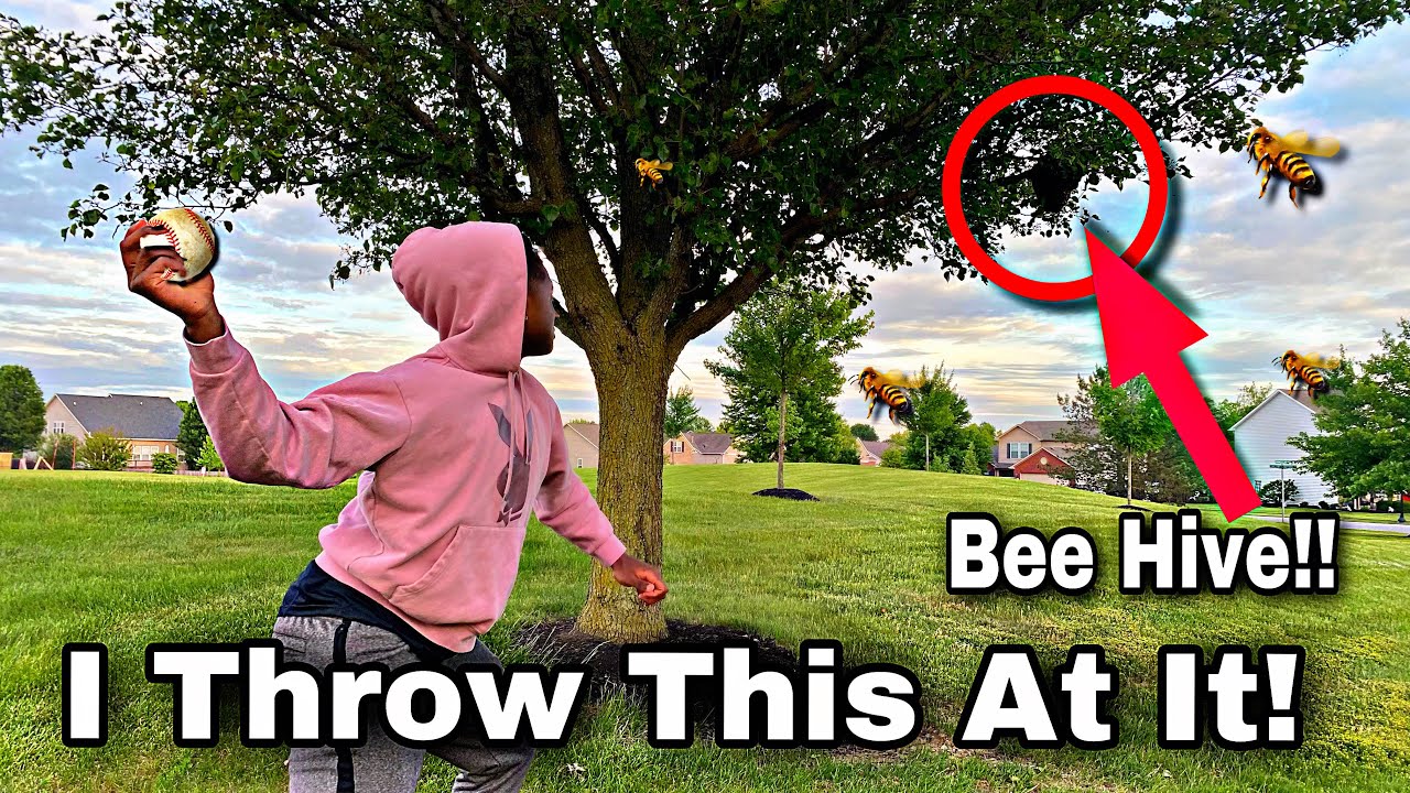 Throwing A Ball At A Bee Hive!!🐝| This Happened…
