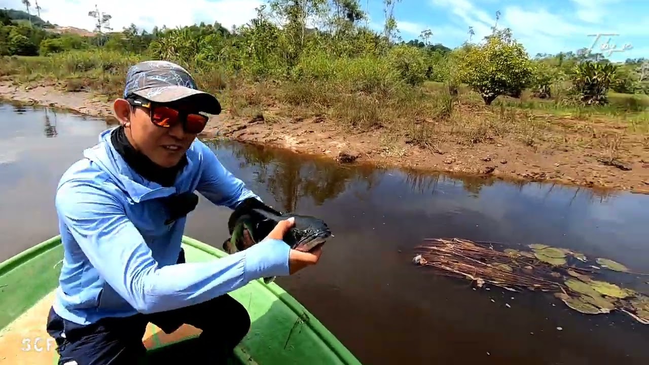 Bongawan Toman Trip January 2026, 1st trip. (Full)