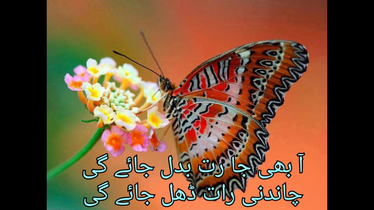 Aa Bhi Ja Rut Badal Jae Gi