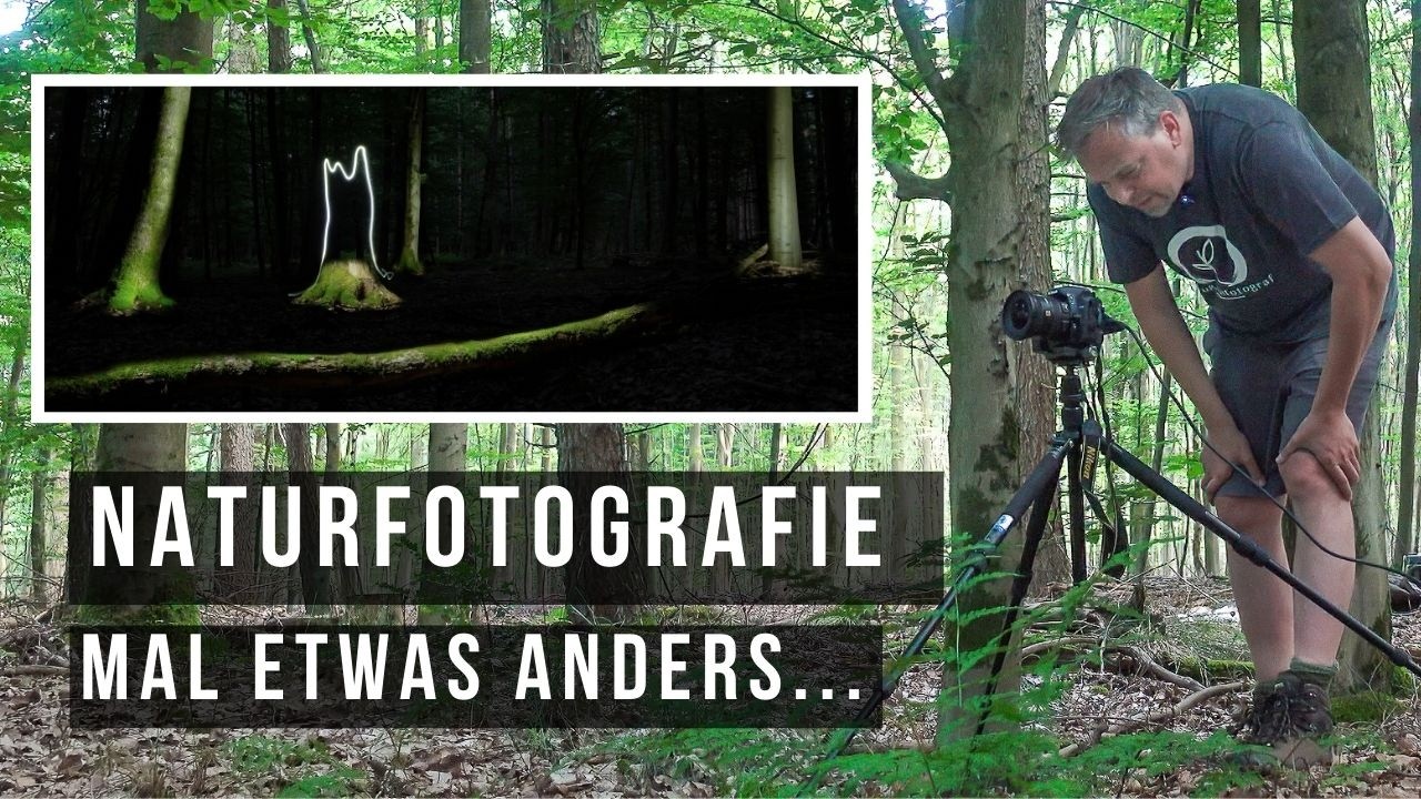 Naturfotografie einmal ganz anders: Magie der Nacht mit Lightpainting erleben
