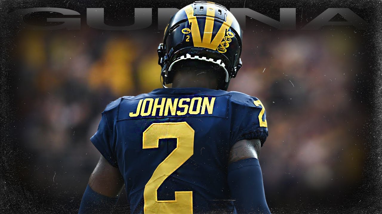 Will Johnson 🔥 Freshman Highlights ᴴᴰ
