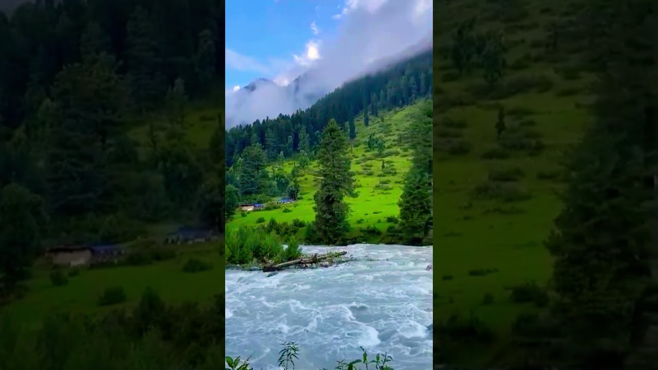 Greenery with flowing water mesmerise the beauty 🌦️#nb #vloogs #love