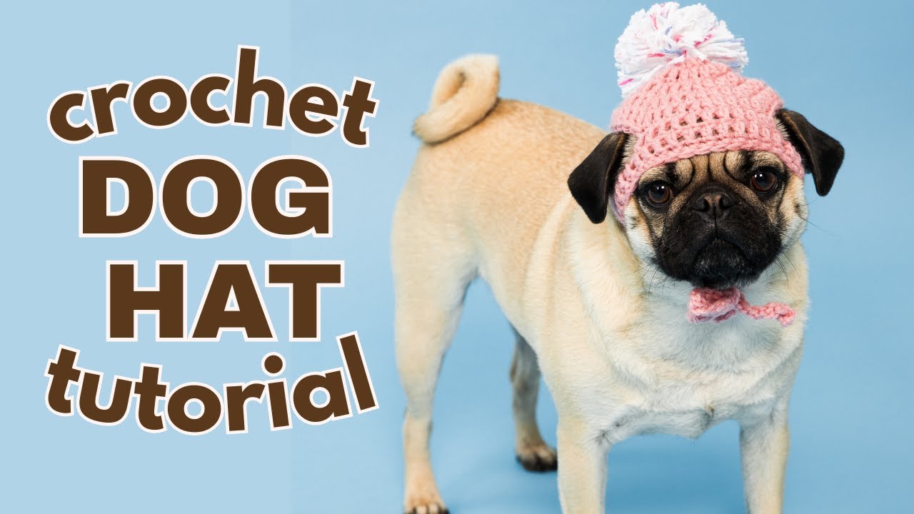 Как связать крючком шапочку для собаки 🐶 | Урок по вязанию шапочки для маленькой собаки