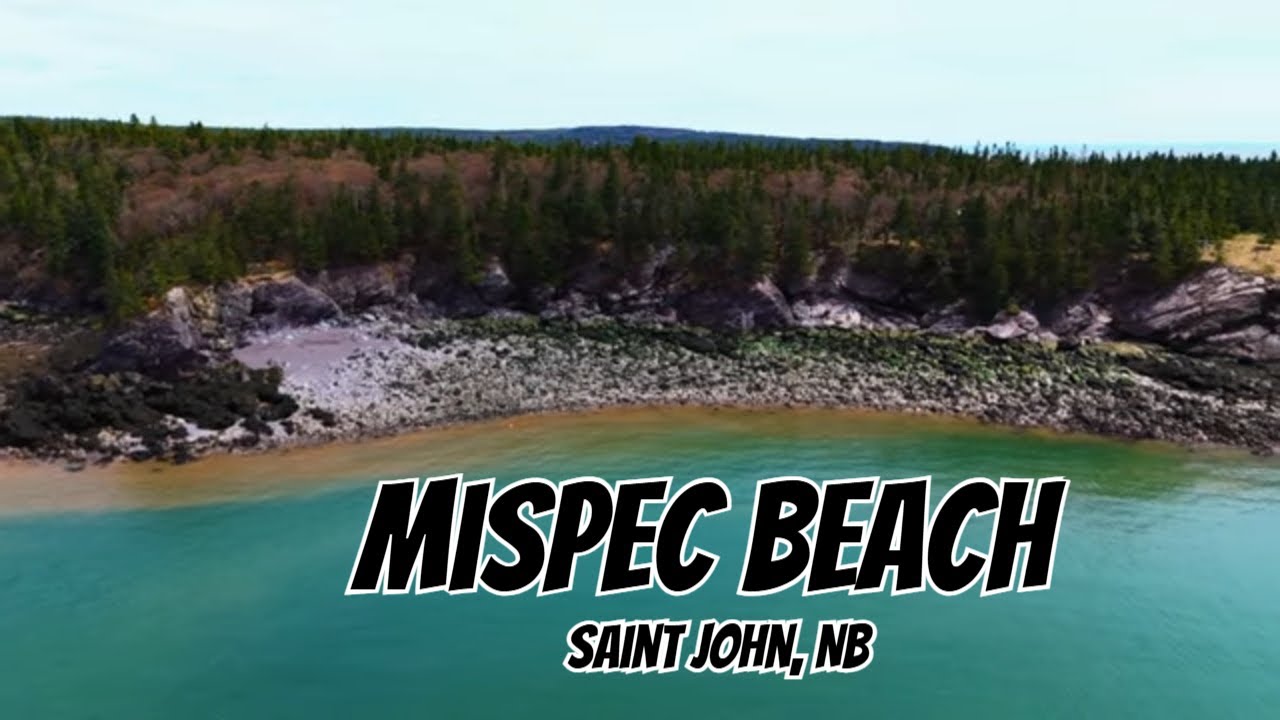 4K Drone Tour - Mispec Beach - Saint John's Hidden Gem - Low Tide