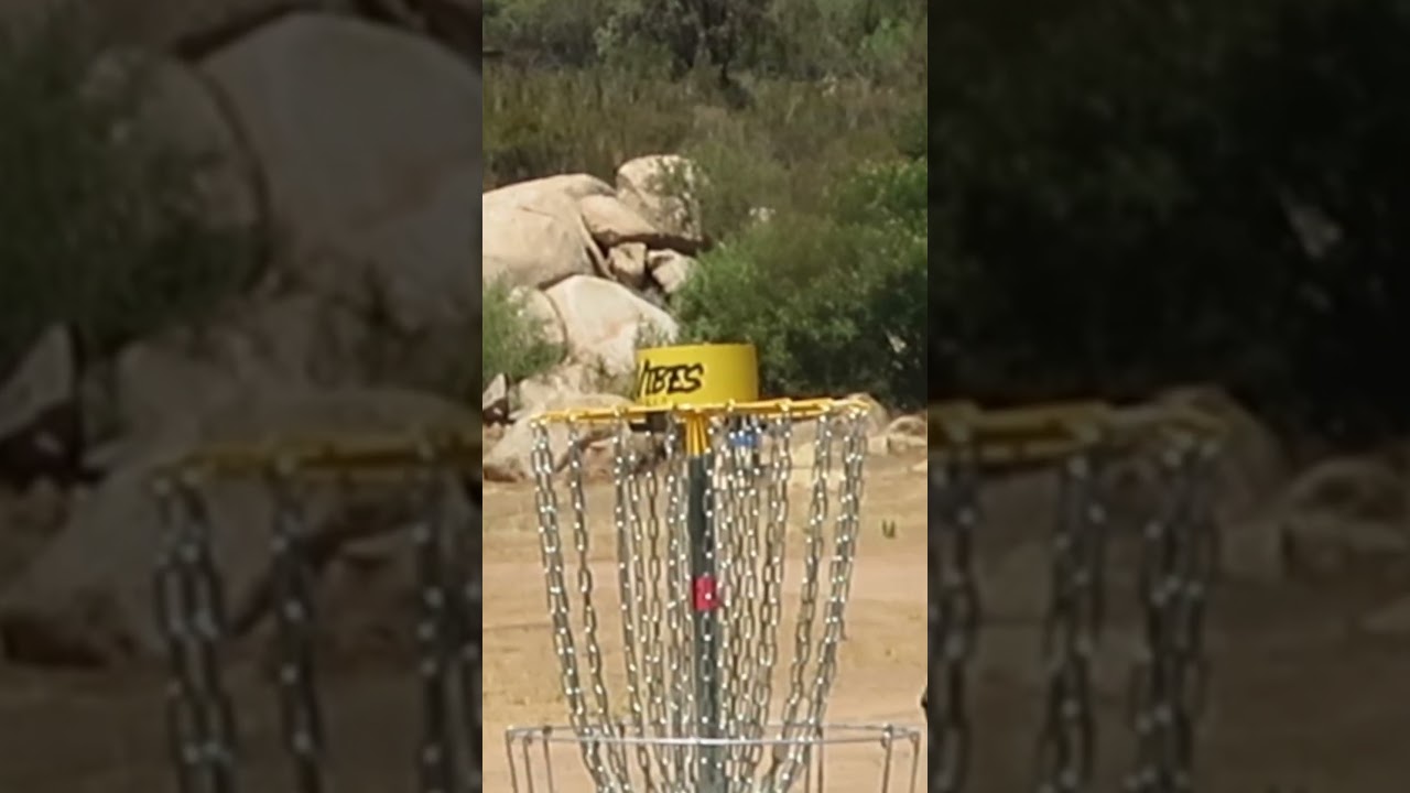 Disc Golf Ace!!! #discgolf #frisbeesport #goodvibes