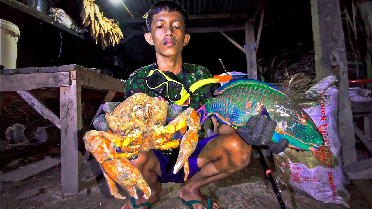 Kami Menangkap Hewan Langka? Parrot Fish & Kepiting Alaska Untuk Makan