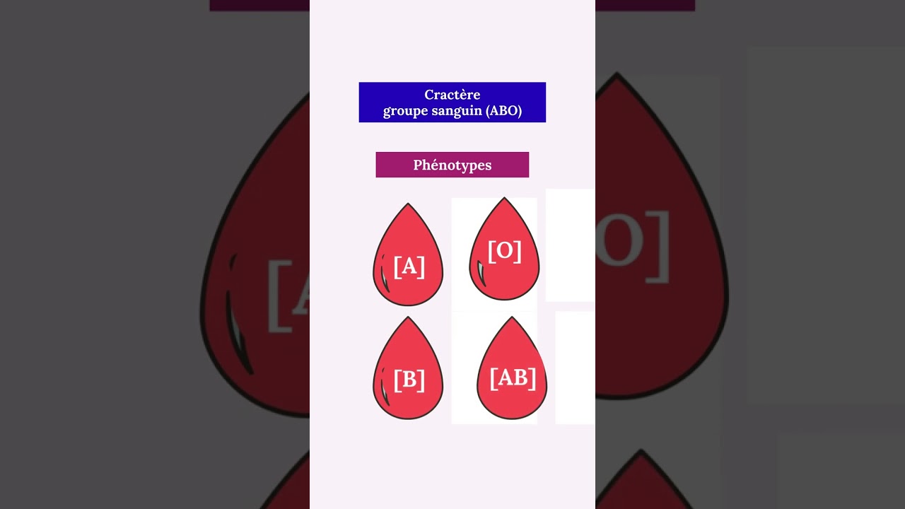 Caractères héréditaires et phénotypes