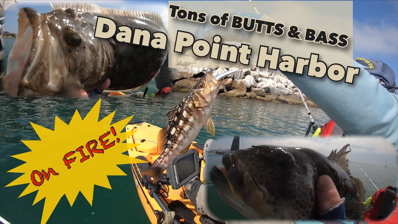 Tons of Butts & Bass! Kayak Fishing Dana Point Harbor